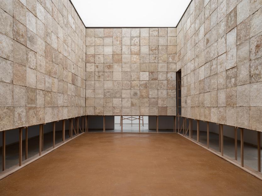 Ugo Carmeni / In Vivo, Pavillon de la Belgique, Venise, 2023