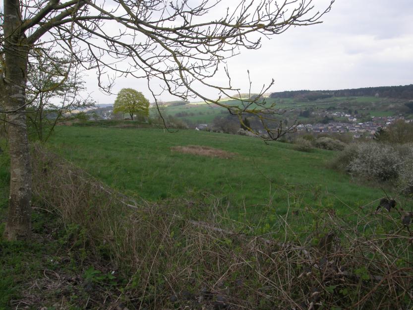 Patrick Lecerf - situation existante